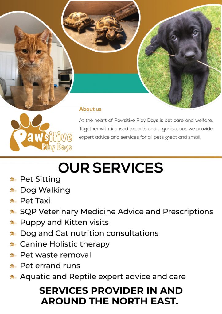 Pet-Care-723x1024
